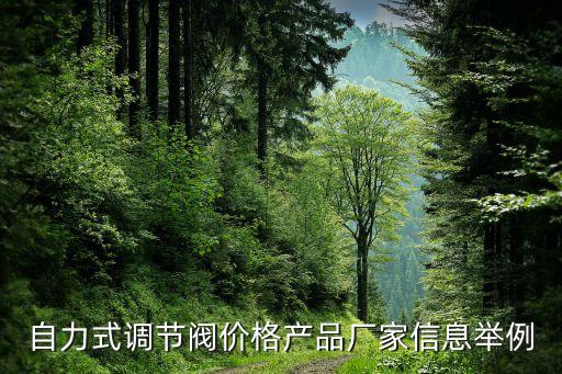 自力式調(diào)節(jié)閥價(jià)格產(chǎn)品廠家信息舉例