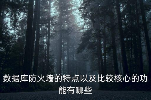 數(shù)據(jù)庫(kù)防火墻的特點(diǎn)以及比較核心的功能有哪些