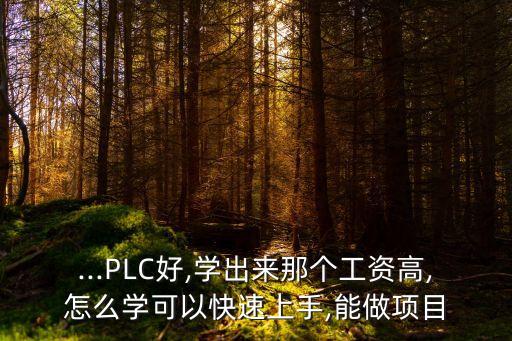 ...PLC好,學出來那個工資高,怎么學可以快速上手,能做項目
