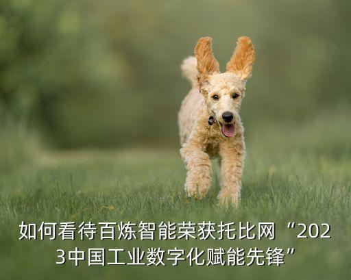 如何看待百煉智能榮獲托比網(wǎng)“2023中國工業(yè)數(shù)字化賦能先鋒”
