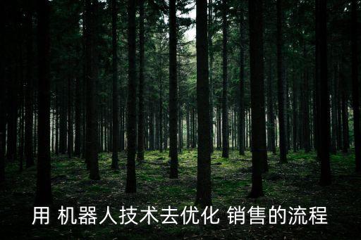 用 機器人技術去優(yōu)化 銷售的流程