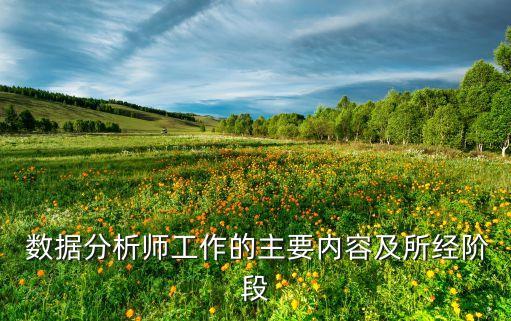  數(shù)據(jù)分析師工作的主要內(nèi)容及所經(jīng)階段