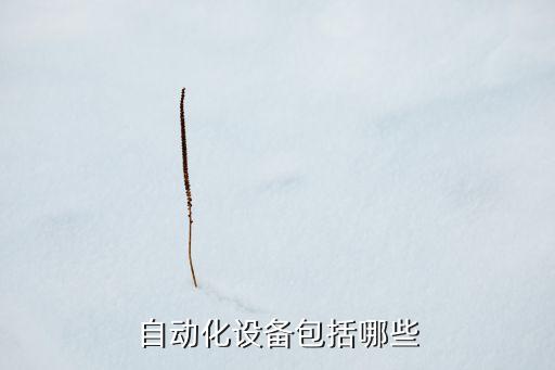 自動化設備里的氣是什么氣,電氣自動化主要是干什么?