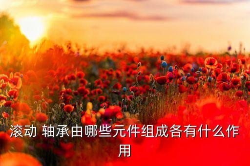 軸承圈自動(dòng)化設(shè)備,自動(dòng)化常用軸承有哪些