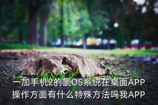 一加手機(jī)2的氫OS系統(tǒng)在桌面APP操作方面有什么特殊方法嗎我APP