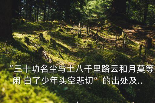 “三十功名塵與土八千里路云和月莫等閑 白了少年頭空悲切”的出處及...