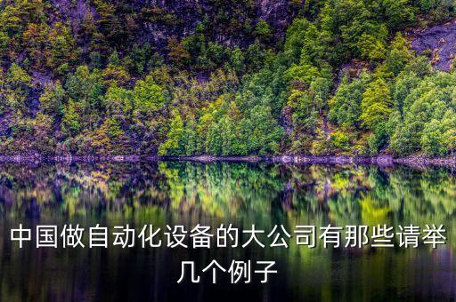 中國(guó)做自動(dòng)化設(shè)備的大公司有那些請(qǐng)舉幾個(gè)例子