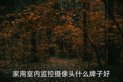 室內(nèi)攝像頭，家用攝像頭哪個(gè)牌子好