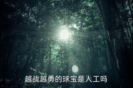 越戰(zhàn)越勇的球?qū)毷侨斯? class=
