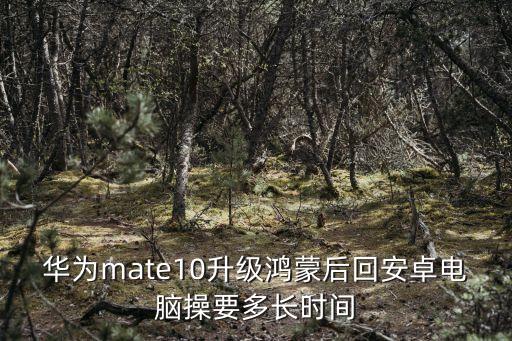 華為mate10升級鴻蒙后回安卓電腦操要多長時間
