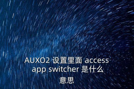 AUXO2 設(shè)置里面 access app switcher 是什么意思