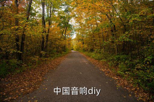 中國音響diy