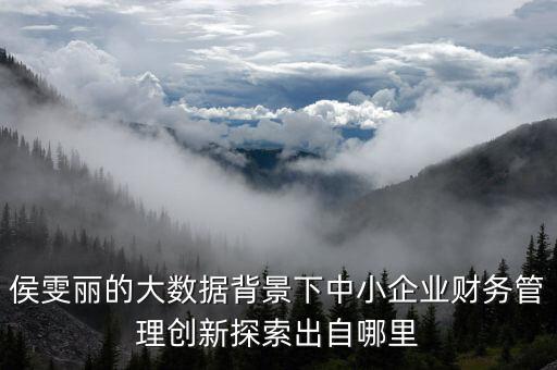侯雯麗的大數(shù)據(jù)背景下中小企業(yè)財務(wù)管理創(chuàng)新探索出自哪里