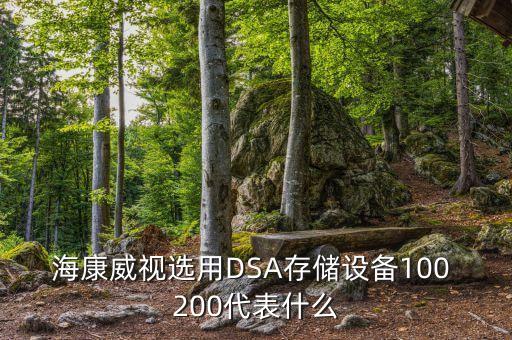 ?？低曔x用DSA存儲設(shè)備100 200代表什么