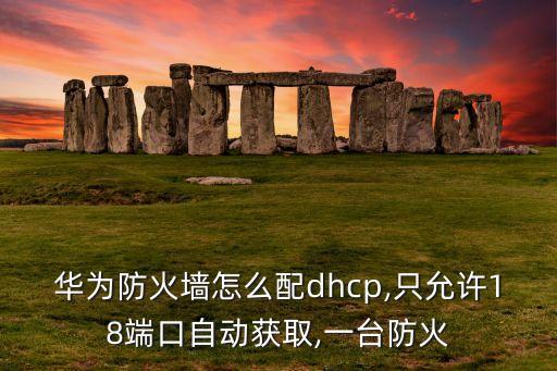 華為防火墻怎么配dhcp,只允許18端口自動(dòng)獲取,一臺(tái)防火