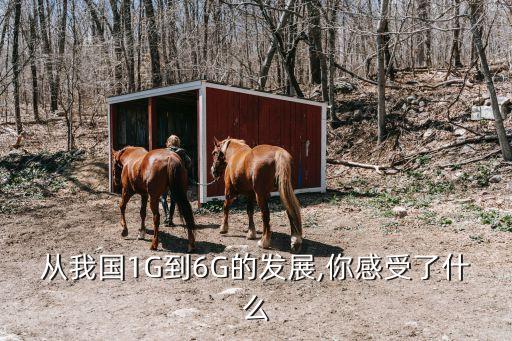 中國6g