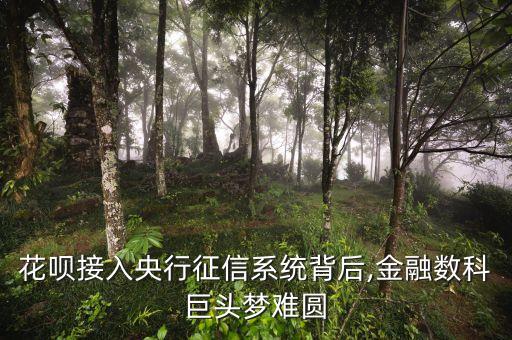 花唄接入央行征信系統(tǒng)背后,金融數(shù)科巨頭夢(mèng)難圓