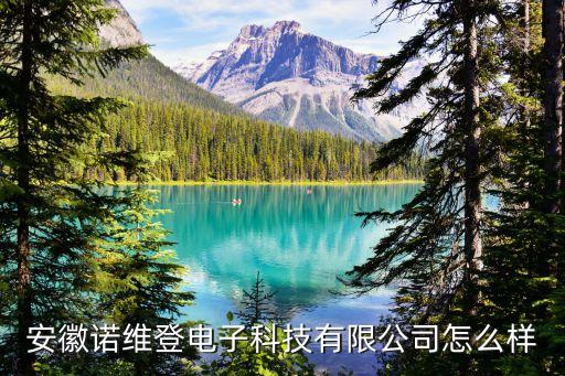 安徽諾維登電子科技有限公司怎么樣