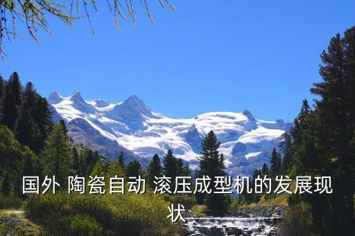 山東陶瓷滾壓自動化設(shè)備哪里有