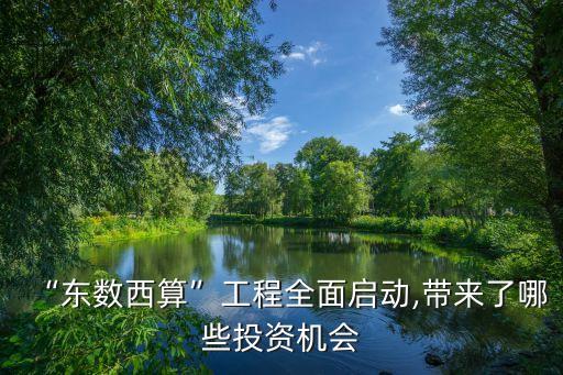 “東數(shù)西算”工程全面啟動(dòng),帶來了哪些投資機(jī)會(huì)