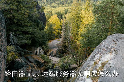 路由器顯示 遠(yuǎn)端服務(wù)器無響應(yīng)怎么辦