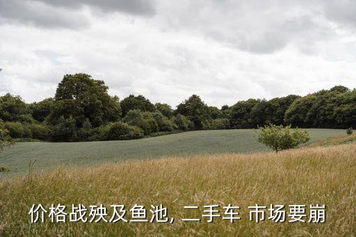 二手車市場數(shù)據(jù)分析,廣西二手車市場二手車市場數(shù)據(jù)分析