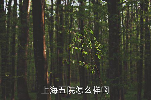 魯婷