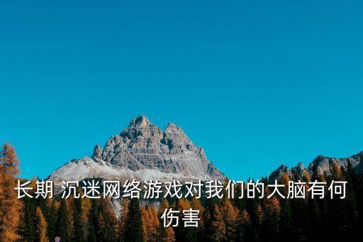 長(zhǎng)期 沉迷網(wǎng)絡(luò)游戲?qū)ξ覀兊拇竽X有何傷害