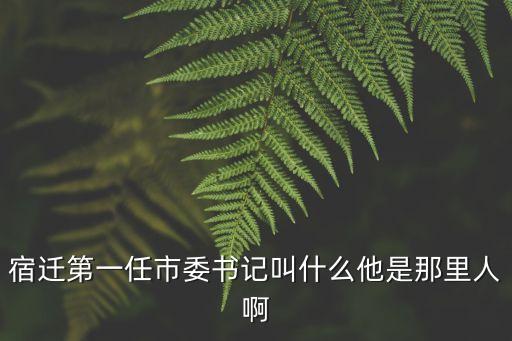 宿遷第一任市委書記叫什么他是那里人啊