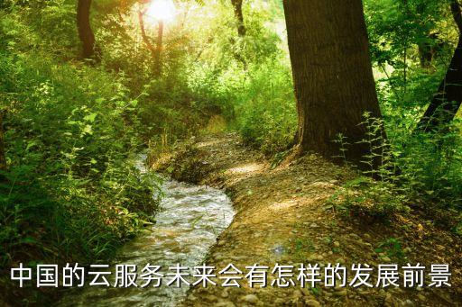 中國的云服務未來會有怎樣的發(fā)展前景