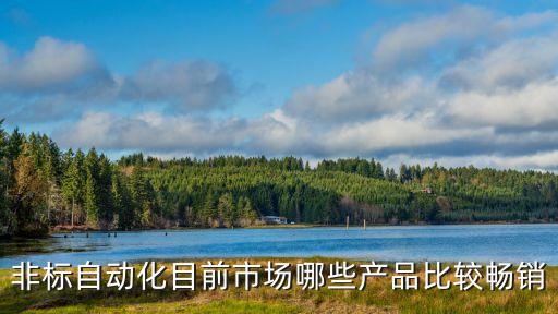 非標(biāo)自動(dòng)化目前市場(chǎng)哪些產(chǎn)品比較暢銷