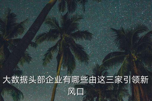 國(guó)內(nèi)大數(shù)據(jù)企業(yè),國(guó)內(nèi)有哪些大數(shù)據(jù)公司?209項(xiàng)目入圍