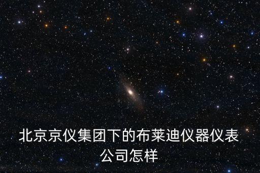  北京京儀集團(tuán)下的布萊迪儀器儀表 公司怎樣