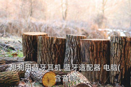想利用藍牙耳機 藍牙適配器 電腦(含音響