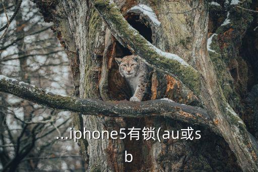 雙?？╝u數(shù)據(jù),關(guān)于iphone!這些東西不能亂用!