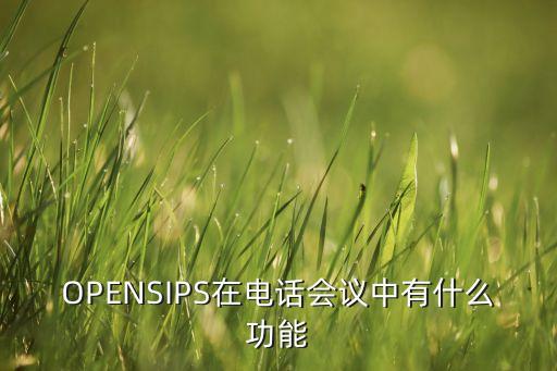 SIPS，sips isotherm怎么擬合