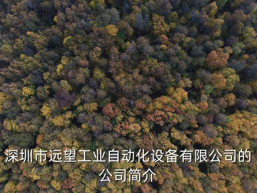 深圳市遠望工業(yè)自動化設備有限公司的公司簡介