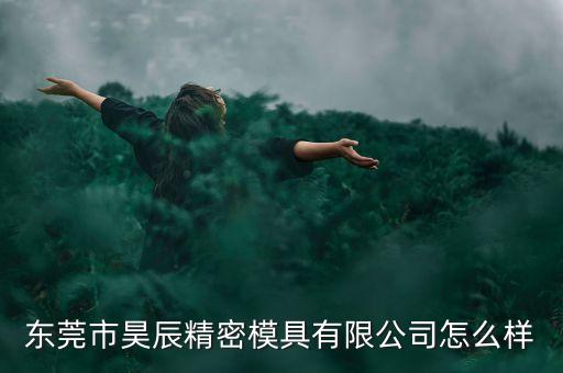 五金模具自動化設(shè)備,什么是五金模具?