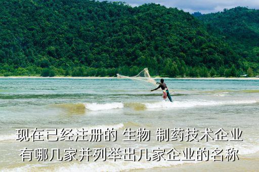 現(xiàn)在已經(jīng)注冊的 生物 制藥技術(shù)企業(yè)有哪幾家并列舉出幾家企業(yè)的名稱