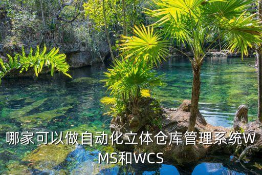 成都奧維自動化有限公司,國內靠譜知名自動化公司有哪些?