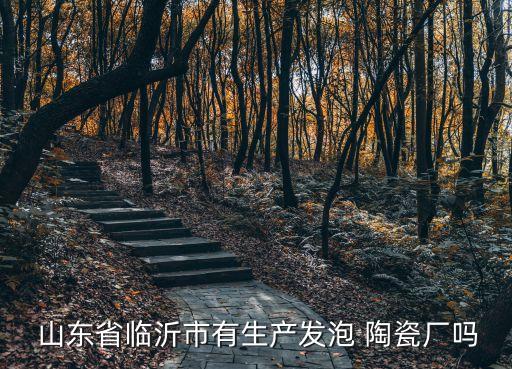  山東省臨沂市有生產(chǎn)發(fā)泡 陶瓷廠嗎