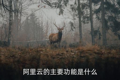阿里云的主要功能是什么
