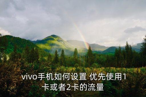  vivo手機(jī)如何設(shè)置 優(yōu)先使用1卡或者2卡的流量