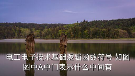 電工電子技術(shù)基礎(chǔ)邏輯函數(shù)符號(hào) 如圖圖中A中門表示什么中間有