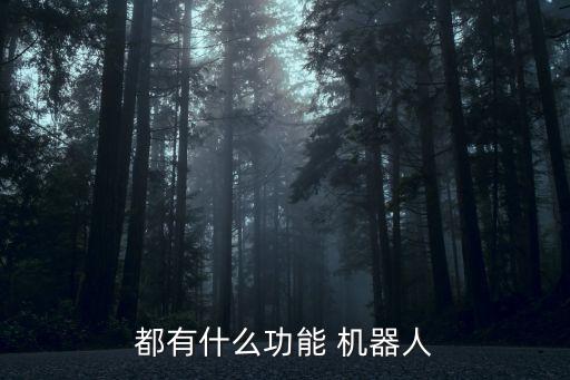 都有什么功能 機(jī)器人