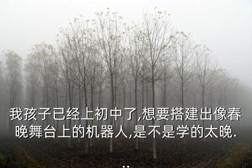 2016年春晚機(jī)器人 名字,機(jī)器人取什么名字比較好?