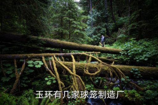  玉環(huán)有幾家球籠制造廠