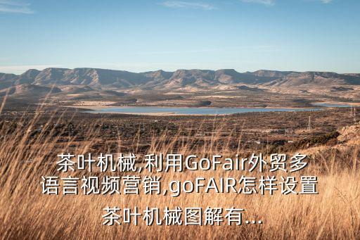 茶葉自動化設(shè)備報價,非標(biāo)自動化設(shè)備報價利潤多少