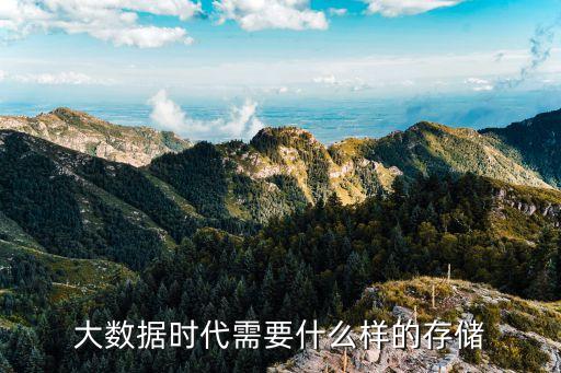 大數(shù)據(jù)安全存儲(chǔ)采用虛,如何安全存儲(chǔ)大數(shù)據(jù)?