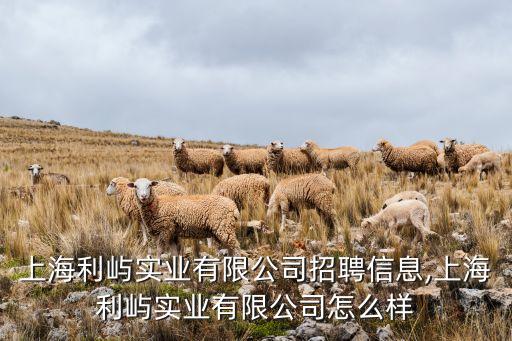 上海利嶼實(shí)業(yè)有限公司招聘信息,上海利嶼實(shí)業(yè)有限公司怎么樣